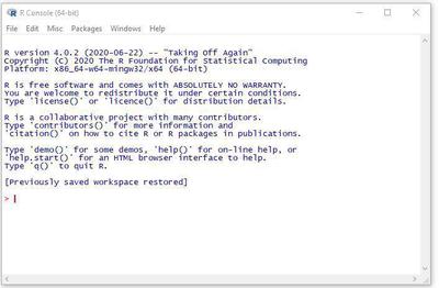 R Console